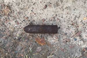 В лесу под Брянском нашли артиллерийский снаряд