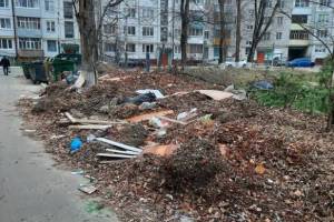В Брянске наказали УК за гигантскую свалку на улице Орловской