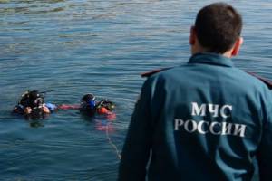 В Брянске утонула 49-летняя женщина