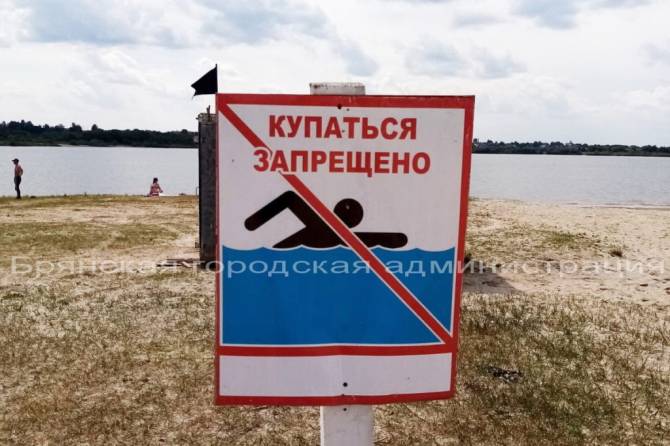 В Брянске запретили купание на четырех пляжах