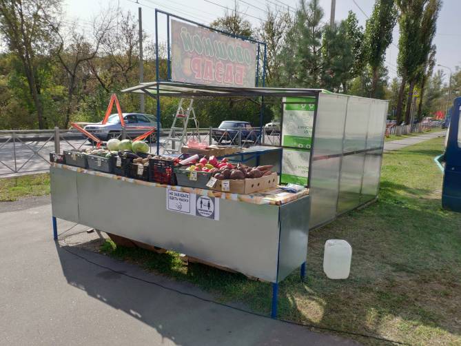 В Брянске на въезде в Володарку открылся овощной базар
