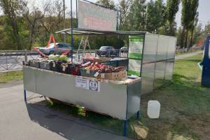 В Брянске на въезде в Володарку открылся овощной базар