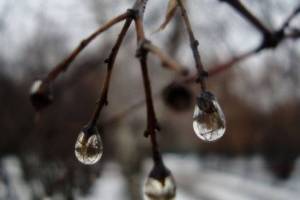 В Брянской области 24 января ожидается около ноля градусов