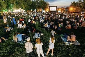 В Брянске пройдёт фестиваль уличного кино