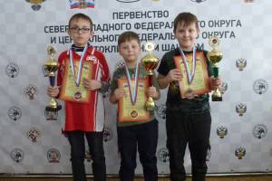 Брянские дети завоевали 35 медалей на турнире по шахматам