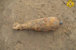 В лесу возле села в Дубровском районе нашли минометную мину