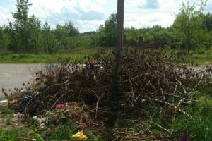 Жители Клинцов жалуются на свалку на кладбище