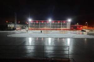 В Брянской области подготовят 101 хоккейный корт, 98 катков, 296 лыжных трасс