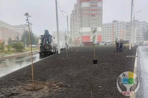 В Брянске на улице Тельмана приступили к устройству газонов и озеленению