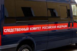 Жительницу Клинцов осудили за попытку помешать инспектору ДПС эвакуировать её машину