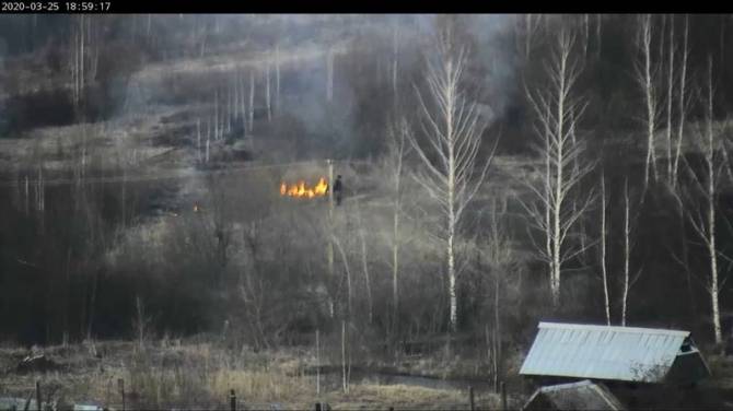 В Карачевском районе поджог сухой травы попал на видео
