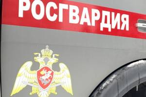 В Брянске 34-летний уголовник украл алкоголь из супермаркета на Клинцовской