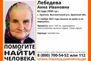 На Брянщине нашли погибшей пропавшую 82-летнюю Анну Лебедеву
