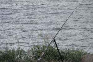 В Новозыбковском районе ищут пропавшего 32-летнего рыбака
