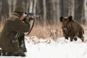 Карачевский браконьер не разжалобил районный суд