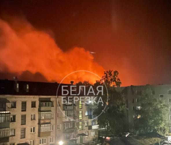 В брянском поселке Белая Березка из-за удара молнии произошел крупный пожар