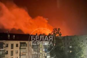 В брянском поселке Белая Березка из-за удара молнии произошел крупный пожар
