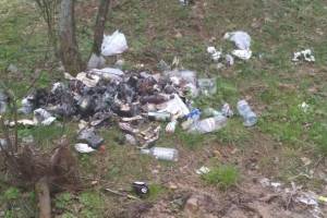 В селе Могилевцы загадили мусором территорию у озера