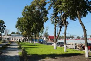 В Брянске у железнодорожного вокзала высадили 25 деревьев