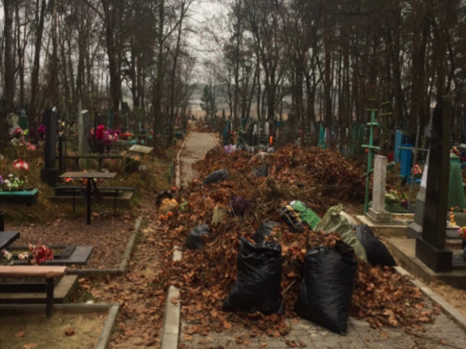 Жители Клинцов жалуются на мусорный апокалипсис на кладбище