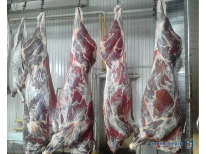 В Брянской области делали полуфабрикаты из мяса сомнительного качества