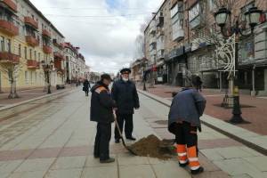 В Брянске к уборке улиц подключили осужденных