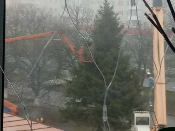 Новогоднюю елку установили в Фокинском районе Брянска 