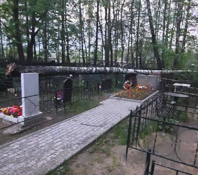 В Брянске на кладбище по улице Почтовой упало дерево