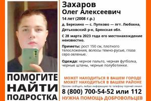 В Брянской области пропал 14-летний Олег Захаров