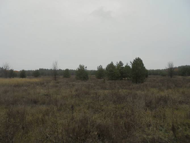 В Суземском районе нерадивый собственник лишился 8,6 гектаров земли
