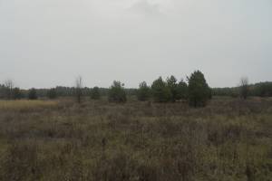 В Суземском районе нерадивый собственник лишился 8,6 гектаров земли