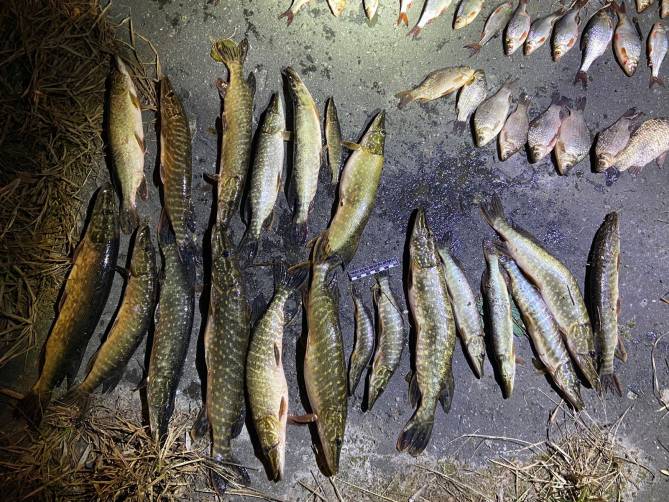 Под Навлей задержали браконьера за ловлю рыбы сетями и электроудочкой