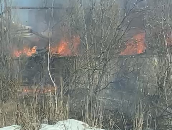 В Брянске сняли на видео горящую пилораму возле «Брусбокса»