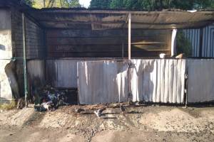 В Брянске во дворе многоэтажки сожгли семь мусорных контейнеров