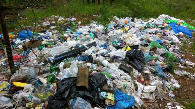 На Брянщине ужесточили штрафы за создание мусорных свалок