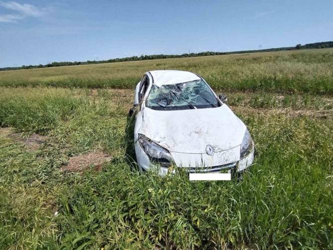 Под Комаричами автомобилистка отвлеклась на питомца в машине и вылетела в кювет