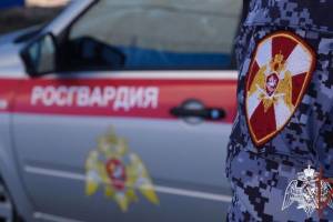 Безопасность брянцев на «Славянском единстве» обеспечат 200 росгвардейцев