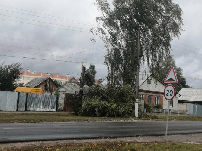 В Климово восстановили энергоснабжение после обрыва ЛЗП рухнувшим деревом