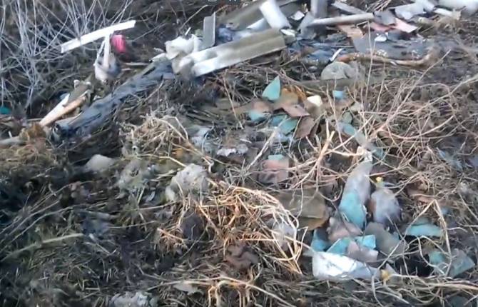 В Брянске возле Литейного моста обнаружены завалы мусора