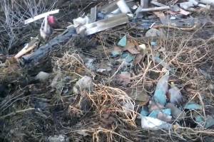 В Брянске возле Литейного моста обнаружены завалы мусора