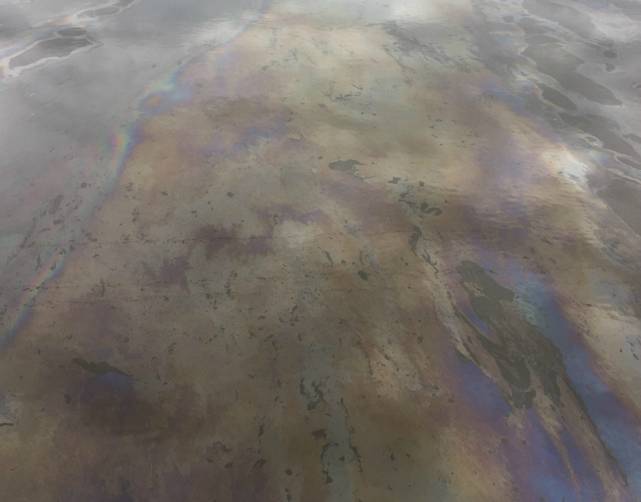 В Брянске заметили нефтяные пятна в Десне 