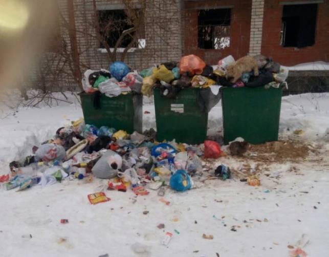 Жители Клинцов пожаловались на мусорный коллапс