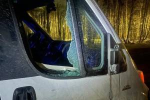 На брянской трассе водитель микроавтобуса сбил пьяного 35-летнего мужчину