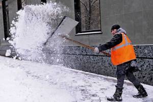 С первым снегопадом в Брянске начали поиск дворников на зарплату 35 тысяч рублей