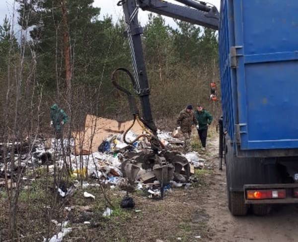 Под Брянском в лесу убрали громадную свалку мусора