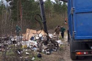 Под Брянском в лесу убрали громадную свалку мусора