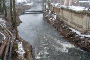 В Клинцах в реку Московка начала стекать канализация