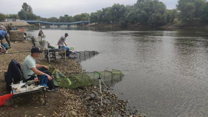 В Брянске на соревнованиях поймали рыбу весом 485 граммов