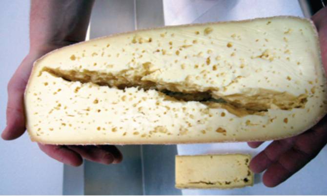 На «Сыр Стародубский» подали в суд за кишечную палочку в продукции