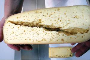 На «Сыр Стародубский» подали в суд за кишечную палочку в продукции
